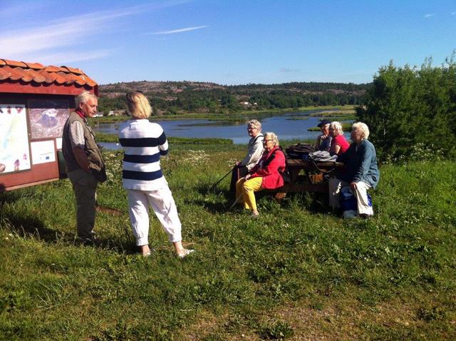 Politiker Ejgdetjärnet